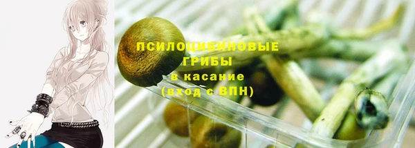 2c-b Белокуриха