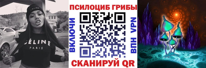 Псилоцибиновые грибы Cubensis Белорецк