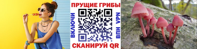 Галлюциногенные грибы мицелий  Белорецк 